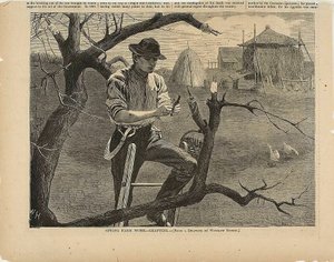  by Winslow Homer