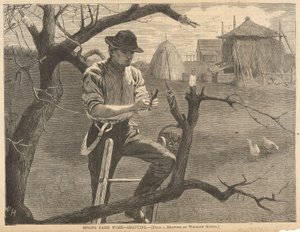 Bahar Çiftliği Çalışması by Winslow Homer