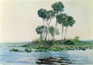 John Nehri, Florida, 1890 by Winslow Homer