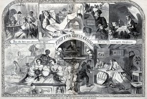 Şükran Günü, 1860, Toplumun İki Büyük Sınıfı, Harper