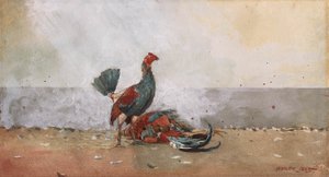 horoz dövüşü by Winslow Homer