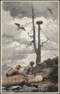 Kartal Yuvası, 1902 by Winslow Homer