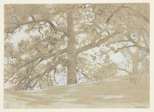 Waverly Meşe by Winslow Homer