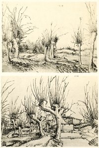 Söğüt ağaçları ile manzaralar by Wolf Huber
