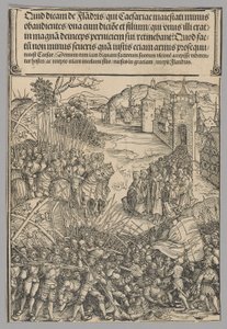 Flaman İsyanı, Zafer Takı'ndan İmparator I. Maximilian'ın Hayatından Tarihsel Sahnelerden 7. levha