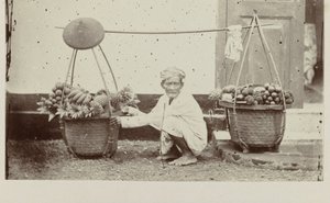meyve ile Cava taşıyıcı by Woodbury and Page