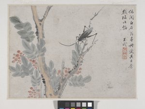 Shen Zhou'dan Sonra Böcek Ve Ağaç (kağıt üzerine mürekkep ve renkli) by Wu Wang
