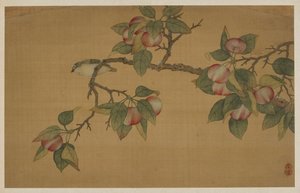 Kuş ve Meyve, Qing hanedanı, 1741.