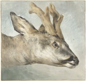 Bir Roebuck Başkanı