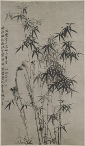 Bamboo and Rocks, c.1760 (kağıt üzerine mürekkep) by Xie Zheng