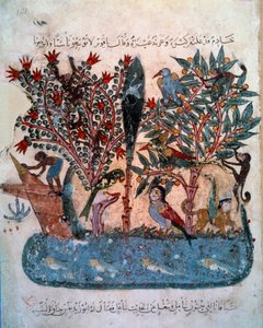 Garip hayvanlarla dolu gizemli ada Ebu Muhammed el-Kasim ibn Ali Hariri (veya Al-Hariri veya Al Hariri) (1054-1122) tarafından “Maqamat”tan (Seanslar) alınmış Minyatür Yahya Mahmud al-Wasiti (el Wasiti) tarafından aydınlatılmıştır. ) 1237