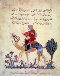 Bir deve yolcusu. Ebu Muhammed el-Kasim ibn Ali Hariri (veya Al-Hariri veya Al Hariri) (1054-1122) tarafından yazılan “Maqamat”tan (Seanslar) Minyatür Yahya Mahmud al-Wasiti (el Wasiti) tarafından 1237, Paris, BN