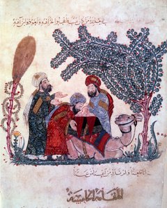 Hammam
