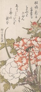 Şakayık ve İris, 18.-19. yüzyıl. by Yanagawa Shigemasa