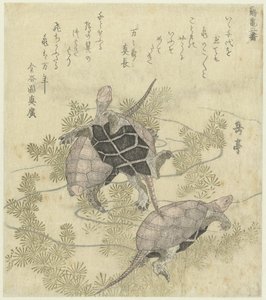 Su bitkileri arasında üç kaplumbağa Bir dizi iki vinç ve kaplumbağa baskısı (seri başlığı) Tsurukame niban (nesne üzerinde seri başlığı) by Yashima Gakutei