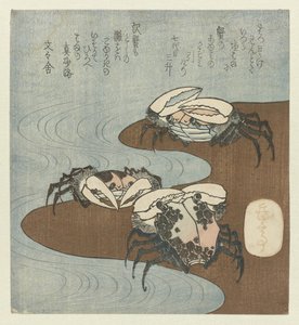 kıyıdaki yengeçler by Yashima Gakutei