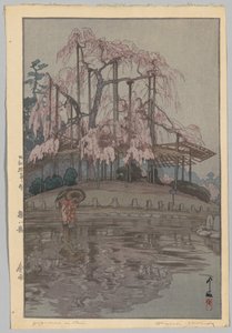 Kiraz Çiçeklerinin Sekiz Sahnesi: İlkbahar Yağmuru (Sakura iddia etmez: Harusame) by Yoshida Hiroshi