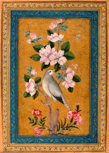Çiçek Açan Dala Tüneyen Kuş, 1696. by Yusuf Zaman