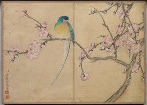  by Zhang Ruoai