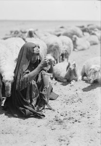 Beersheba (Be