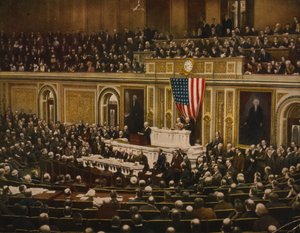 Dünyanın Özgürlüğü İçin Başkan Woodrow Wilson, Kongre