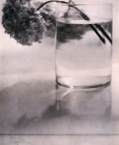 Ortanca, c 1907 by John Pardon