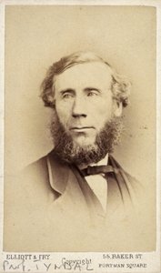 John Tyndall, İrlandalı fizikçi, 1875 dolayları by Frederick (attr. to) Barnard