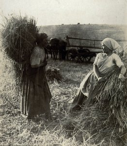 Hasatçılar, 1900 dolaylarında by Frederick (attr. to) Barnard