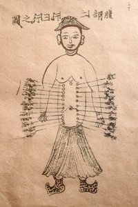 Geleneksel Vietnam Tıbbı Müzesi, Kanallar ve damarlar, Akupunktur Kitabı, Ho Chi Minh Şehri, Vietnam