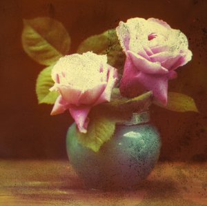 "Güller" by Frederick (attr. to) Barnard