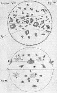Güneş lekeleri by Frederick (attr. to) Barnard