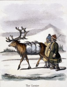 Taşıyıcı