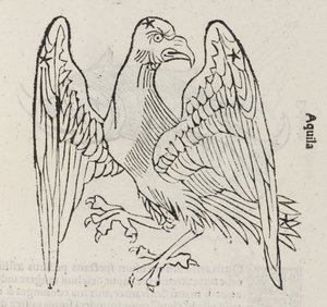 Aquila takımyıldızı by John Pardon