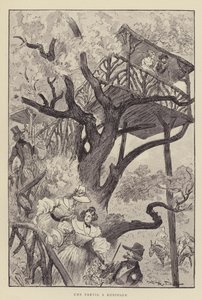 Bölüm A Robinson by after Albert Robida