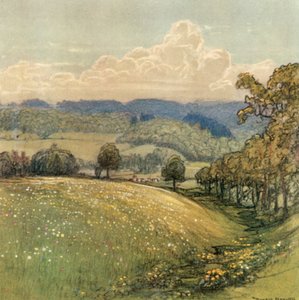 sussex