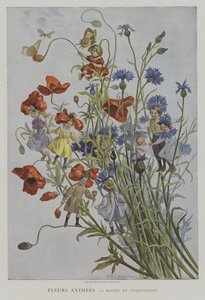 Fleurs Animeleri. Bleuets ve Coquelicots. (Animasyonlu Çiçekler: peygamberçiçekleri ve haşhaşlar)