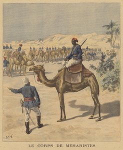 Meharistes Kolordusu