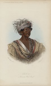 Tuch-ee, bir Cherokee Savaş Şefi (aquatint)