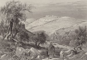Olivet