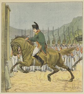 Napolyon atını Longwod