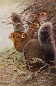 Aziz Paul Sincap by after Wilhelm Kuhnert
