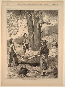 kestane by Winslow Homer