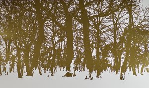 Hayat ağaçları, 2017, kağıt üzerine sıcak damgalama yaprak rulosu by angus hampel