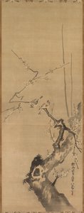 çiçek açan erik üzerinde serçeler by attributed to Kano Tan’yū