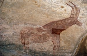 Tırnaklı hayvan, mağara resmi, Sephar, Tassili n