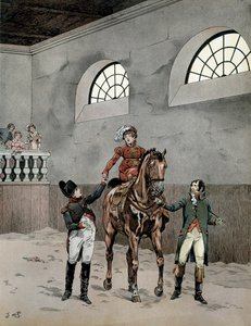 Napolyon I Bonaparte (1729-1821), Avusturyalı etkileyici Marie Louise