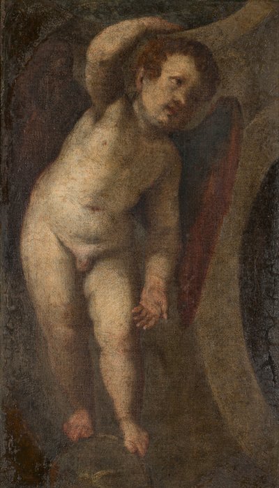 Bir Daimi Putto, c.1548-88 (tuval üzerine yağlı boya) by Veronese