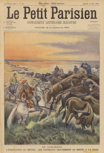 Camargue