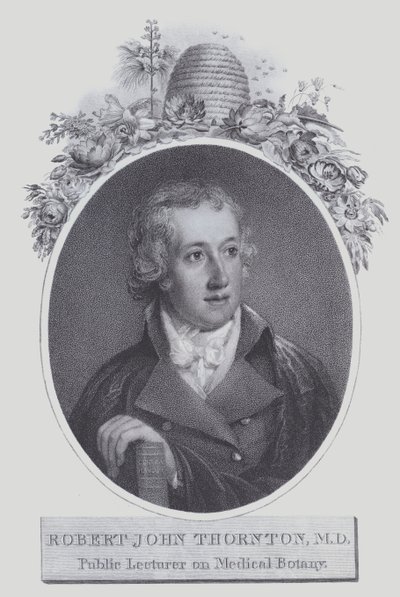 Robert John Thornton (taş) by (after) English School