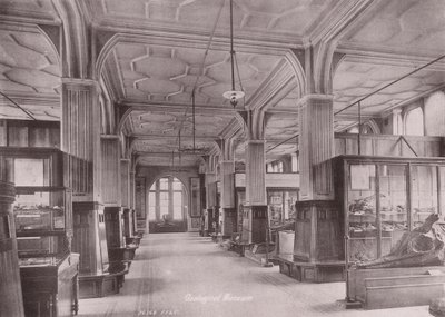 Owen#39;s College, Manchester: Jeoloji Müzesi (s/b fotoğraf) by (after) English photographer